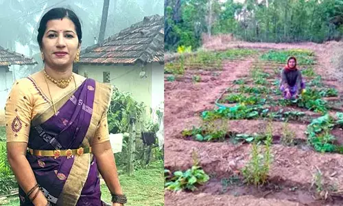 ಕೃಷಿಯನ್ನೇ ಬಂಗಾರ ಮಾಡಿಕೊಂಡ ಪೃಥ್ವಿ: ಕಡಿಮೆ ಭೂಮಿಯಲ್ಲಿ ಸಮಗ್ರ ವ್ಯವಸಾಯ