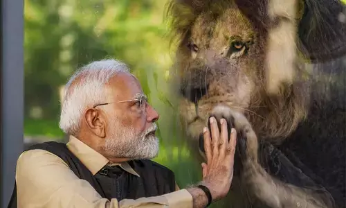 ರಕ್ಷಣೆಯೂ ಇಲ್ಲ, ಸಂರಕ್ಷಣೆಯೂ ಇಲ್ಲ: ಅಂಬಾನಿಯ ವಂತಾರ ಪ್ರಾಣಿ ರಕ್ಷಣಾ ಕೇಂದ್ರದ ಕುರಿತು ದಕ್ಷಿಣ ಆಫ್ರಿಕಾ ವನ್ಯಜೀವಿ ಸಂಘಟನೆಯ ಕಳವಳ