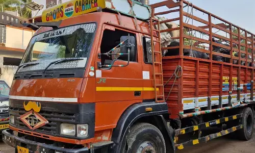 ಭಟ್ಕಳ: ಅಕ್ರಮ ಜಾನುವಾರು ಸಾಗಾಟ ಆರೋಪ; ಲಾರಿ ಸಹಿತ ಓರ್ವನ ಬಂಧನ