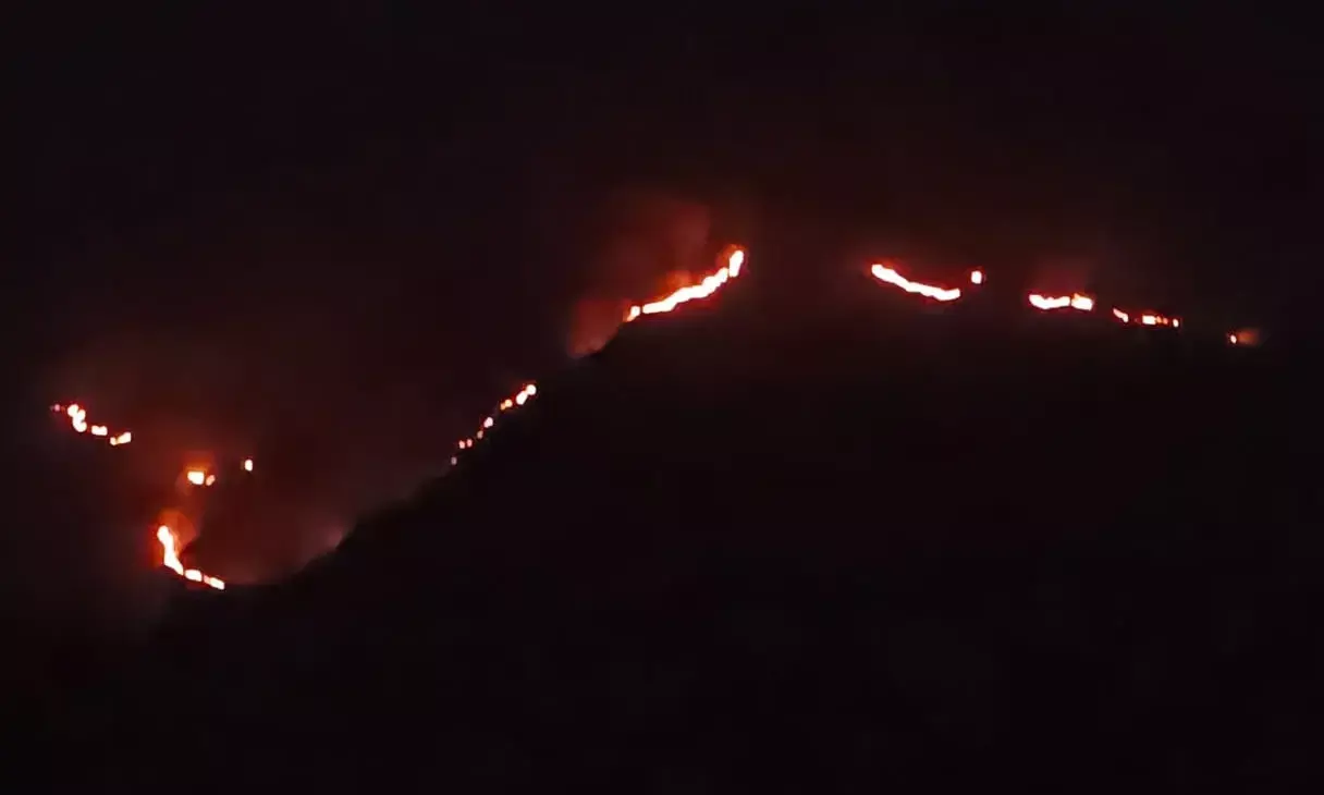 ಕುದುರೆಮುಖ| ವನ್ಯಜೀವಿ ವಿಭಾಗದ ಬಂಗಾರಪಲಿಕೆಯಲ್ಲಿ ಭಾರಿ ಬೆಂಕಿ