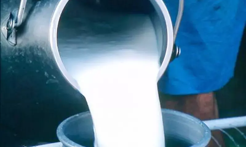 ನಂದಿನಿ ಹಾಲು ದರ ಏರಿಕೆಗೆ ಕರ್ನಾಟಕ ರಾಜ್ಯ ಹೋಟೆಲ್‌ಗಳ ಸಂಘ ವಿರೋಧ