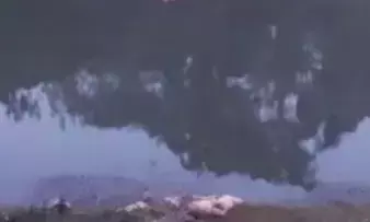 ರಾಯಚೂರು: ಸ್ನಾನ ಮಾಡಲು ಹೊಂಡಕ್ಕೆ ಇಳಿದ ವ್ಯಕ್ತಿ ನಾಪತ್ತೆ