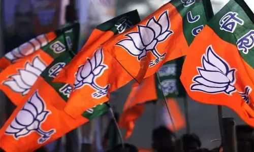 BJP FLAG