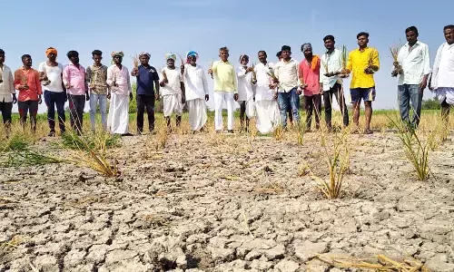 ಯಾದಗಿರಿ | ಎರಡು ಜಲಾಶಯಗಳಿದ್ದರೂ ನೀರಿಗೆ ಹಾಹಾಕಾರ