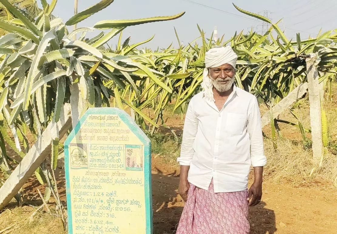 ಡ್ರ್ಯಾಗನ್ ಫ್ರೂಟ್ ಬೆಳೆದು ಲಕ್ಷಾಂತರ ರೂ. ಲಾಭ ಗಳಿಸಿದ ರೈತ