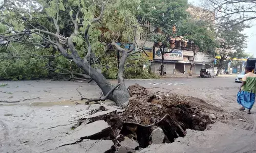 ಬೆಂಗಳೂರು | ಮರ ಬಿದ್ದು ಮಗು ಮೃತ್ಯು: ತನಿಖೆ