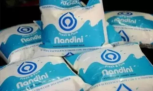ನಂದಿನಿ ಹಾಲಿನ ದರ ಲೀಟರ್‌ಗೆ 4 ರೂ. ಹೆಚ್ಚಳಕ್ಕೆ ಸಚಿವ ಸಂಪುಟ ಅನುಮೋದನೆ