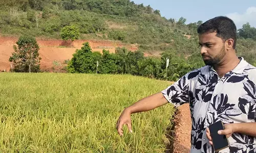 ಅನೀಶ್‌ರ ಬೆಟ್ಟದ ಮೇಲಿನ ಗದ್ದೆಯೂ ಕೃಷಿಕನ ಕೈ ಹಿಡಿಯುವ ಹುಡುಗಿಯೂ...