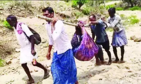 ಹನೂರು | ಅನಾರೋಗ್ಯಪೀಡಿತ ವ್ಯಕ್ತಿಯನ್ನು ಡೋಲಿಯಲ್ಲಿ ಹೊತ್ತು ಆಸ್ಪತ್ರೆಗೆ ದಾಖಲು