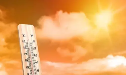 ಎಂಟು ರಾಜ್ಯಗಳಿಗೆ ಬಿಸಿಗಾಳಿ ಎಚ್ಚರಿಕೆ; ದಿಲ್ಲಿಯಲ್ಲಿ 42 ಡಿ.ಸೆ. ಉಷ್ಣತೆ ಸಾಧ್ಯತೆ