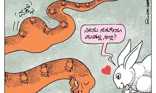 ಛೂ ಬಾಣ | ಪಿ. ಮಹಮ್ಮದ್ ಕಾರ್ಟೂನ್