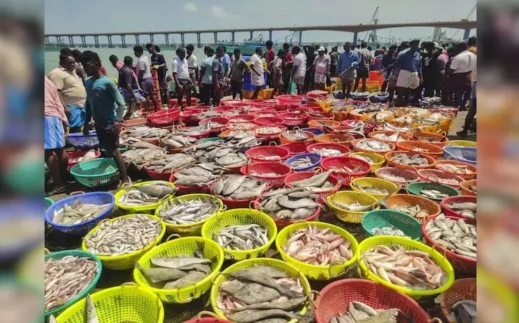 ಅಮೆರಿಕದ ಸುಂಕದಿಂದ ಭಾರತೀಯ ಸಾಗರೋತ್ಪನ್ನಗಳ ರಫ್ತಿನ ಮೇಲೆ ಪ್ರತಿಕೂಲ ಪರಿಣಾಮ ಸಾಧ್ಯತೆ: ರಫ್ತುದಾರರ ಕಳವಳ