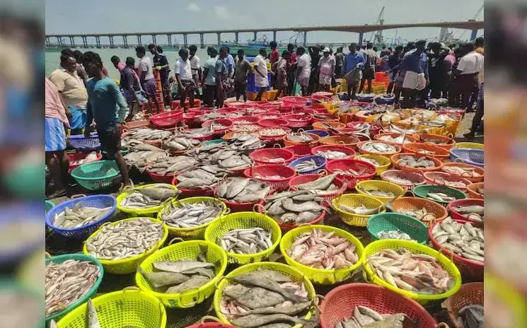 ಅಮೆರಿಕದ ಸುಂಕದಿಂದ ಭಾರತೀಯ ಸಾಗರೋತ್ಪನ್ನಗಳ ರಫ್ತಿನ ಮೇಲೆ ಪ್ರತಿಕೂಲ ಪರಿಣಾಮ ಸಾಧ್ಯತೆ: ರಫ್ತುದಾರರ ಕಳವಳ