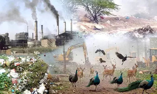 ಸಂಪತ್ತಿನ ದಾಹಕ್ಕೆ ಕೊನೆ ಯಾವಾಗ?