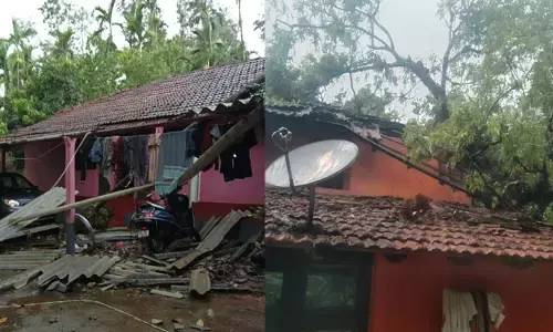 ಚಿಕ್ಕಮಗಳೂರು: ಜಿಲ್ಲೆಯ ಮಲೆನಾಡು ಭಾಗದಲ್ಲಿ ಧಾರಾಕಾರ ಮಳೆ