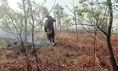 ಆಳಂದ | ಬುದ್ಧ ವಿಹಾರದ ಗುಡ್ಡಕ್ಕೆ ಆಕಸ್ಮಿಕ ಬೆಂಕಿ : ಅಪಾರ ನಷ್ಟ