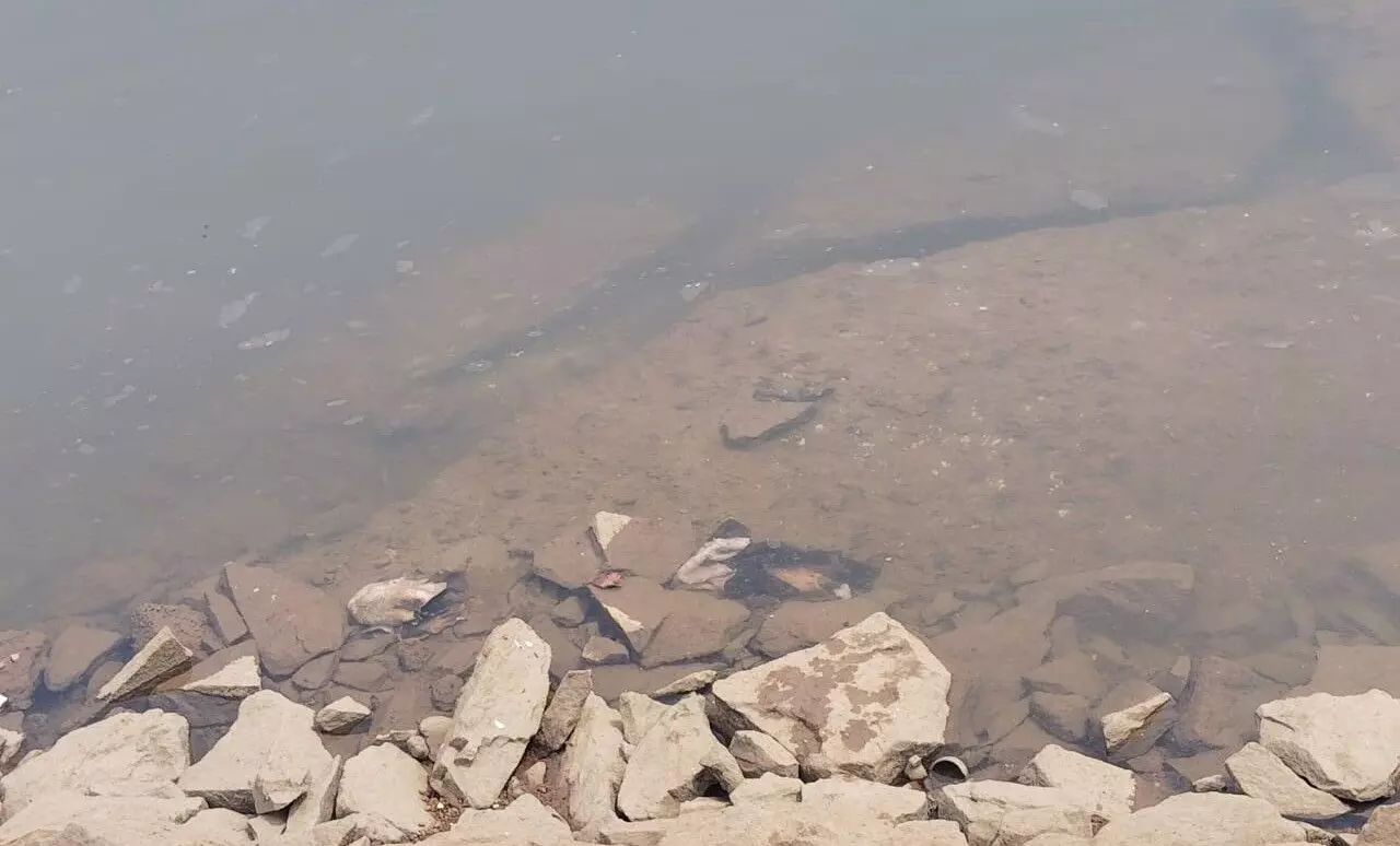 ಭಟ್ಕಳ| ಜಾನುವಾರು ಹತ್ಯೆ: ಅಂಗಾಂಗಗಳನ್ನು ಗೋಣಿಚೀಲದಲ್ಲಿ ಎಸೆದ ದುಷ್ಕರ್ಮಿಗಳು ಭಟ್ಕಳ| ಜಾನುವಾರು ಹತ್ಯೆ: ಅಂಗಾಂಗಗಳನ್ನು ಗೋಣಿಚೀಲದಲ್ಲಿ ಎಸೆದ ದುಷ್ಕರ್ಮಿಗಳು