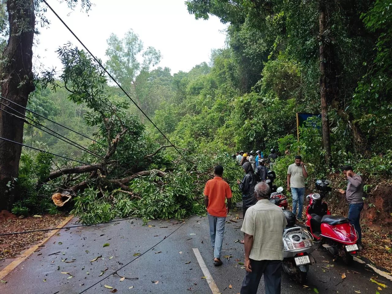 ಮೂಡುಬಿದಿರೆ: ಭಾರೀ ಗಾಳಿ ಸಹಿತ ಮಳೆ; ಮರ ಬಿದ್ದು ಕಾರು ಜಖಂ ಮೂಡುಬಿದಿರೆ: ಭಾರೀ ಗಾಳಿ ಸಹಿತ ಮಳೆ; ಮರ ಬಿದ್ದು ಕಾರು ಜಖಂ
