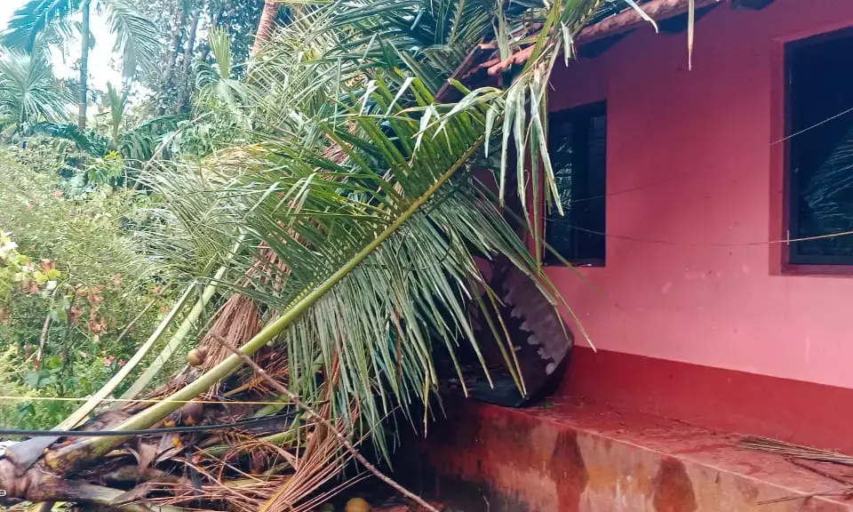 ದ.ಕ. ಜಿಲ್ಲೆಯ ವಿವಿಧ ಕಡೆ ಗಾಳಿ ಮಳೆಗೆ ಹಾನಿ