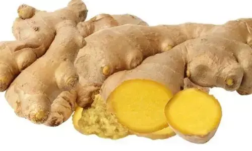 ಬೀದರ್ | ಹಸಿ ಶುಂಠಿ ಖರೀದಿ ಕೇಂದ್ರಗಳ ಸ್ಥಾಪನೆ : ಪ್ರತಿ ಕ್ವಿಂಟಲ್ ಗೆ 2,445 ರೂ. ನಿಗದಿ