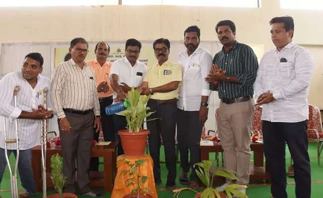 Photo of Program Photo of Program