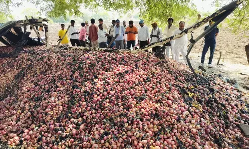 ಬೀದರ್ | ಬೆಂಕಿ ಅವಘಡ : ಲಕ್ಷಾಂತರ ಮೌಲ್ಯದ ಈರುಳ್ಳಿ ನಾಶ