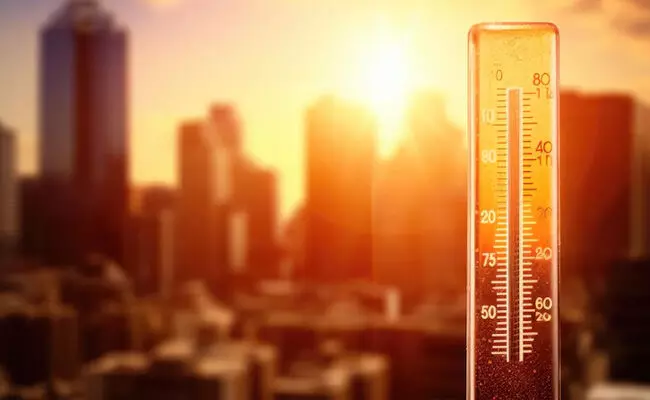 ತೆಲಂಗಾಣ: ಬಿಸಿಲಿನ ಝಳಕ್ಕೆ 12ಕ್ಕೂ ಅಧಿಕ ಜನರು ಮೃತ್ಯು