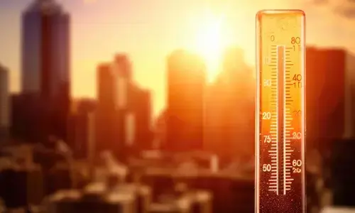 ತೆಲಂಗಾಣ: ಬಿಸಿಲಿನ ಝಳಕ್ಕೆ 12ಕ್ಕೂ ಅಧಿಕ ಜನರು ಮೃತ್ಯು