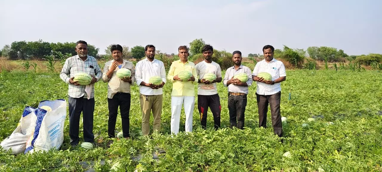 ಯಾದಗಿರಿ | ಬರದ ನಾಡಲ್ಲಿ ಬಂಗಾರದಂಥ ಕಲ್ಲಂಗಡಿ ಬೆಳೆ ತೆಗೆದ ರೈತರಿಗೆ ಜಿಲ್ಲಾಡಳಿತ ಸನ್ಮಾನಿಸಲಿ : ಉಮೇಶ್ ಮುದ್ನಾಳ್