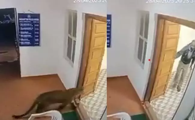 ಪೊಲೀಸ್ ಠಾಣೆಗೆ ನುಗ್ಗಿದ ಚಿರತೆ; ಪೊಲೀಸ್ ಸಿಬ್ಬಂದಿಯ ಪ್ರತಿಕ್ರಿಯೆ ವೈರಲ್!