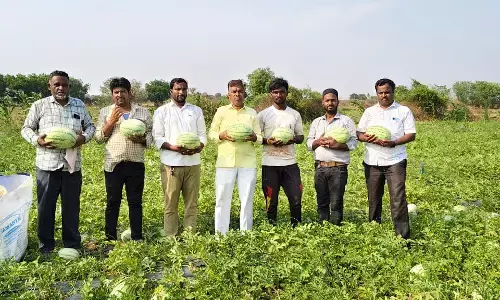 ಯಾದಗಿರಿ | ಬರದ ನಾಡಲ್ಲಿ ಬಂಗಾರದಂಥ ಕಲ್ಲಂಗಡಿ ಬೆಳೆ ತೆಗೆದ ರೈತರಿಗೆ ಜಿಲ್ಲಾಡಳಿತ ಸನ್ಮಾನಿಸಲಿ : ಉಮೇಶ್ ಮುದ್ನಾಳ್
