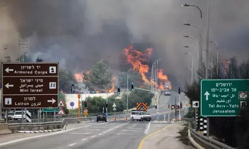 ದೇಶದಾದ್ಯಂತ ಹಬ್ಬಿದ ಕಾಡ್ಗಿಚ್ಚು: ಇಸ್ರೇಲ್‌ ನಲ್ಲಿ ರಾಷ್ಟ್ರೀಯ ತುರ್ತು ಪರಿಸ್ಥಿತಿ ಘೋಷಣೆ