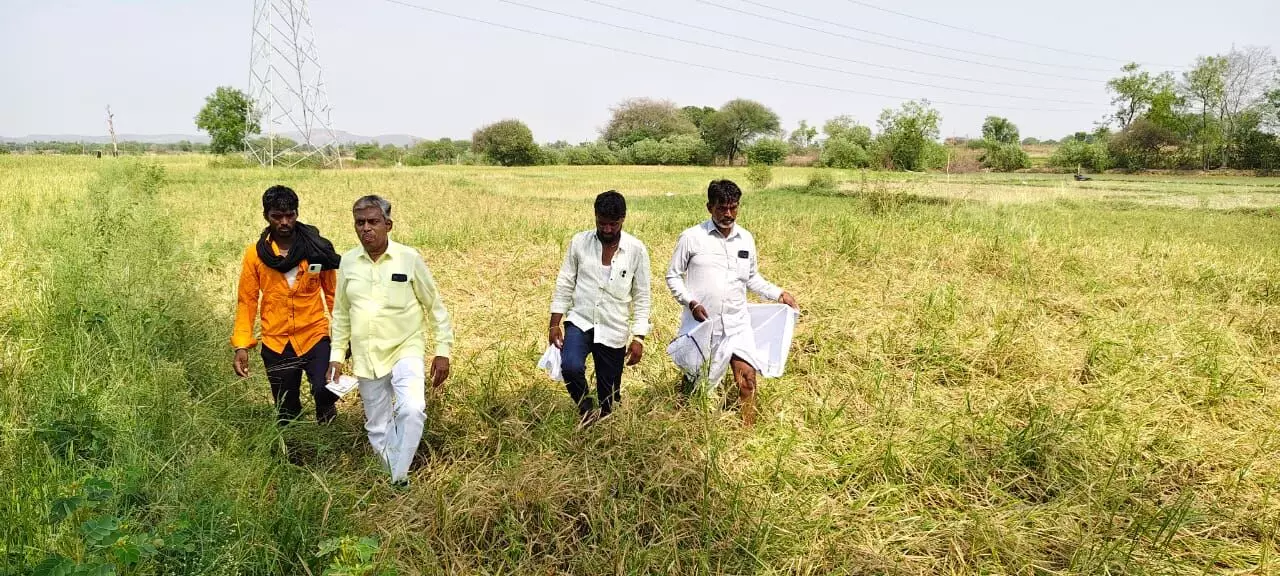 ಯಾದಗಿರಿ | ಬೆಳೆ ಹಾನಿ ಪ್ರದೇಶಕ್ಕೆ ಉಮೇಶ್ ಮುದ್ನಾಳ್ ಭೇಟಿ : ಸೂಕ್ತ ಪರಿಹಾರಕ್ಕೆ ಆಗ್ರಹ