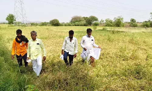 ಯಾದಗಿರಿ | ಬೆಳೆ ಹಾನಿ ಪ್ರದೇಶಕ್ಕೆ ಉಮೇಶ್ ಮುದ್ನಾಳ್ ಭೇಟಿ : ಸೂಕ್ತ ಪರಿಹಾರಕ್ಕೆ ಆಗ್ರಹ