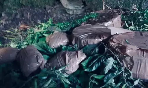 ಜಮ್ಮುಕಾಶ್ಮೀರ | ಭಯೋತ್ಪಾದಕರ ಅಡಗುತಾಣವನ್ನು ಪತ್ತೆಹಚ್ಚಿದ ಭದ್ರತಾಪಡೆ : ಐದು ಐಇಡಿ ವಶಕ್ಕೆ