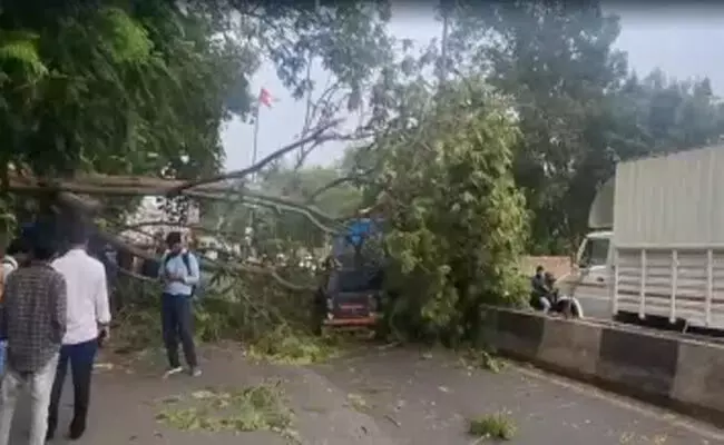 ಗುಜರಾತ್: ಮಳೆ ಸಂಬಂಧಿ ದುರ್ಘಟನೆಗಳಲ್ಲಿ 14 ಮಂದಿ ಸಾವು