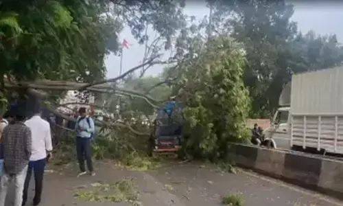 ಗುಜರಾತ್: ಮಳೆ ಸಂಬಂಧಿ ದುರ್ಘಟನೆಗಳಲ್ಲಿ 14 ಮಂದಿ ಸಾವು