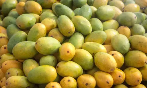 ಮಾರುಕಟ್ಟೆಗೆ ಮಾವು ಲಗ್ಗೆ, ತರಾವರಿ ದರ