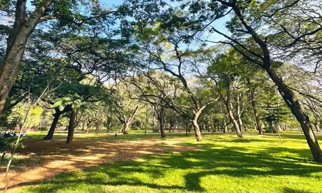 ಕಬ್ಬನ್ ಪಾರ್ಕ್‍ನಲ್ಲಿ ‘ರೀಲ್ಸ್’ ಮಾಡಿದರೆ 500 ರೂ.ದಂಡ