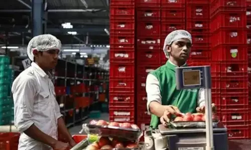 ನಿಂತುಕೊಂಡೇ ಕೆಲಸ ಮಾಡುವ ಕಾರ್ಮಿಕರ ಸಂಕಷ್ಟಗಳು