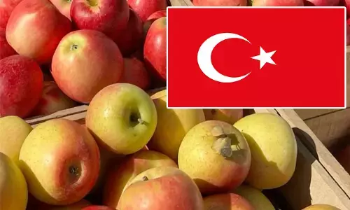ಭಾರತ-ಪಾಕಿಸ್ತಾನ ಉದ್ವಿಗ್ನತೆ | ಟರ್ಕಿಗೆ ಇನ್ನೊಂದು ಹೊಡೆತ: ಸೇಬು ಆಮದು ನಿಲ್ಲಿಸಲು ದಿಲ್ಲಿಯ ಹಣ್ಣಿನ ವ್ಯಾಪಾರಿಗಳ ನಿರ್ಧಾರ