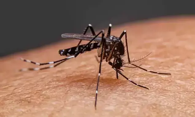 ಮಳೆಗಾಲದಲ್ಲಿ ಸಾಂಕ್ರಾಮಿಕ ರೋಗಗಳು ಹರಡದಂತೆ ಎಚ್ಚರ: ಪೌರಾಯುಕ್ತ