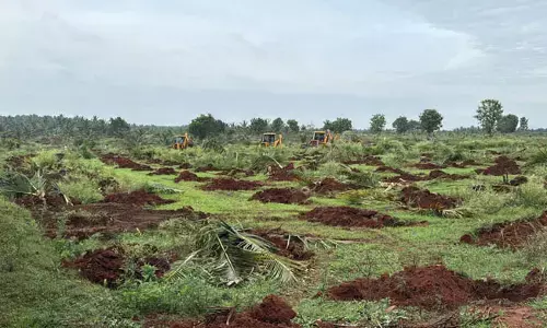 ಚನ್ನರಾಯಪಟ್ಟಣ: 27 ಎಕರೆ ಅರಣ್ಯ ಭೂಮಿ ಒತ್ತುವರಿ ತೆರವು