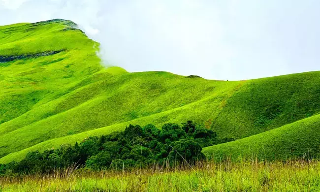 ಪ್ರಾಕೃತಿಕ ಸೌಂದರ್ಯದಿಂದ ಪ್ರವಾಸಿಗರ ಕಣ್ಮನ ಸೆಳೆಯುವ ಕುದುರೆಮುಖ