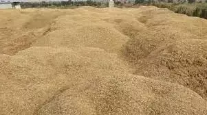 ಯಾದಗಿರಿಯಲ್ಲಿ ರಾತ್ರೋರಾತ್ರಿ ಅಕ್ರಮ ಮರಳು ಸಾಗಣೆ: ಪೊಲೀಸರ ನಿರ್ಲಕ್ಷ್ಯ ಆರೋಪ