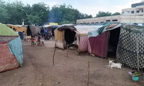 ಮೂಲಸೌಕರ್ಯ ವಂಚಿತ ಅಲೆಮಾರಿ ಸಮುದಾಯಕ್ಕೆ ಬೇಕಿದೆ ಸರಕಾರದ ನೆರವು