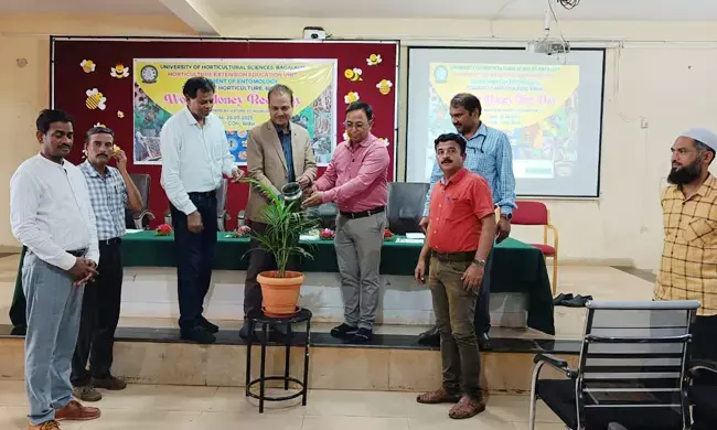 ಬೀದರ್ | ಜೇನಿಗೆ ರೋಗ ಗುಣಪಡಿಸುವಂತಹ ಶಕ್ತಿ ಇದೆ : ಡಾ.ಎಸ್.ವಿ.ಪಾಟೀಲ್