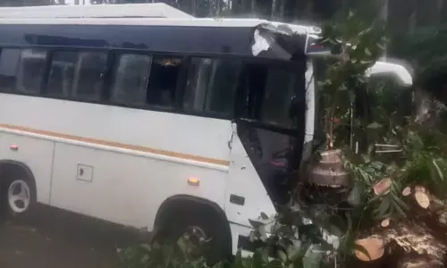 ಕೊಟ್ಟಿಗೆಹಾರ | ಬಸ್ ಮೇಲೆ ಉರುಳಿ ಬಿದ್ದ ಮರ: ತಪ್ಪಿದ ಭಾರೀ ಅನಾಹುತ