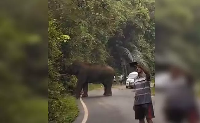 ಚಾರ್ಮಾಡಿ ಘಾಟಿ ರಸ್ತೆಯಲ್ಲಿ ಪ್ರತ್ಯಕ್ಷಗೊಂಡ ಕಾಡಾನೆ: ಪ್ರಯಾಣಿಕರ ಸೆಲ್ಫಿ ದುಸ್ಸಾಹಸ