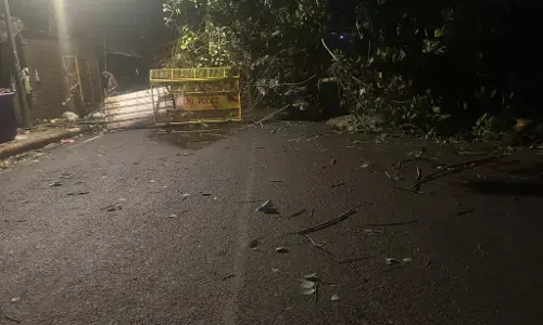 ರಾಷ್ಟ್ರ ರಾಜಧಾನಿಯಲ್ಲಿ ಮಳೆ ಅವಾಂತರ; ಇಬ್ಬರು ಮೃತ್ಯು, ವಿಮಾನ ಸಂಚಾರ ಅಸ್ತವ್ಯಸ್ತ